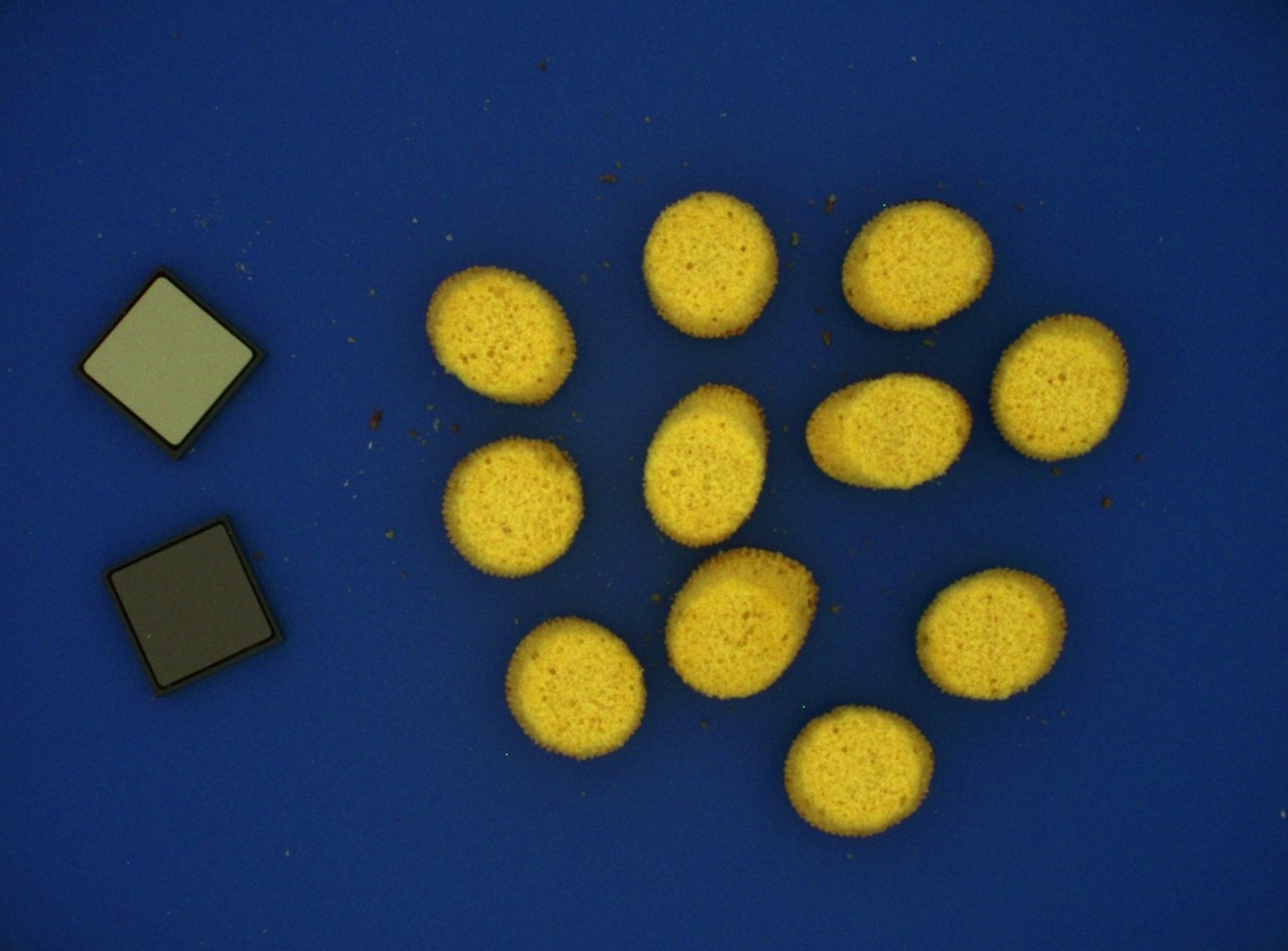 Mislukte test koekjes bakken in de microgolfoven